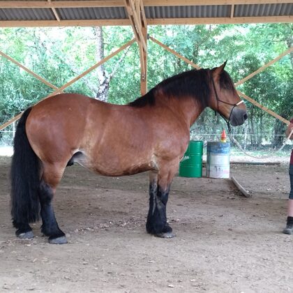 Visite à Charlie en penson au "Saut du Loup"