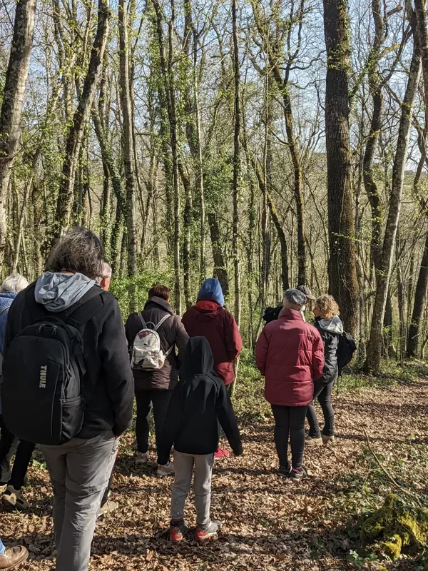 PRETE MOI TES ARBRES? JE SEMERAI TES GRAINES !
