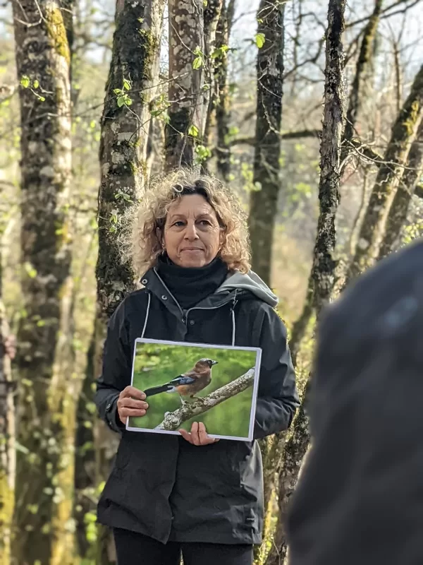 Magali Coste présente les différents oiseaux de la forêt